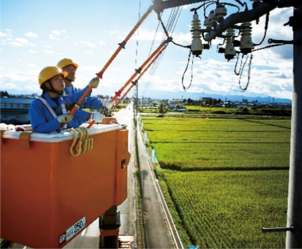 配電設備の保守作業