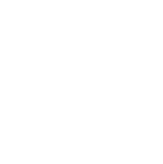 寄り添う 東北と新潟の成長・発展にしっかりと「寄り添う」取り組みを展開します。