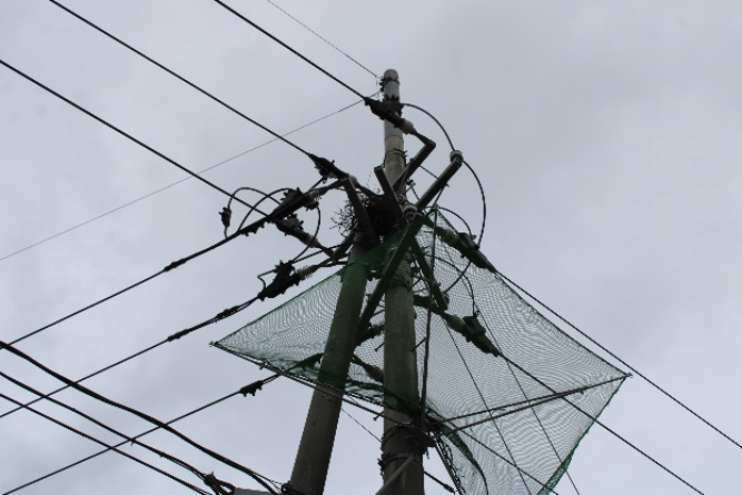 電力安定供給　春の陣　～烏の巣を取り除く～