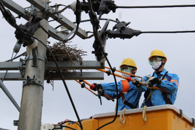 電力安定供給　春の陣　～烏の巣を取り除く～