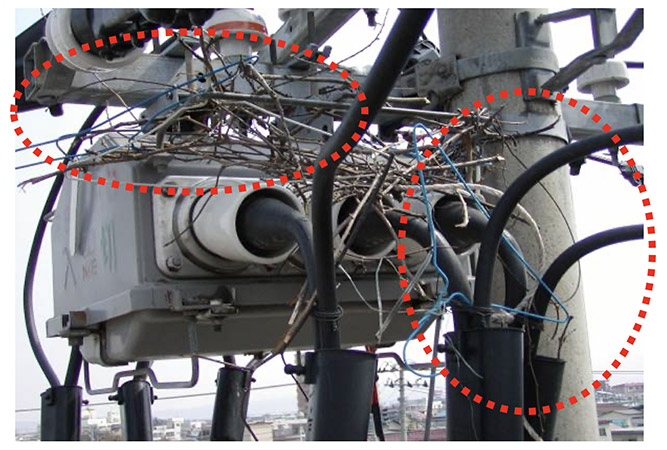 電力安定供給　春の陣　～烏の巣を取り除く～