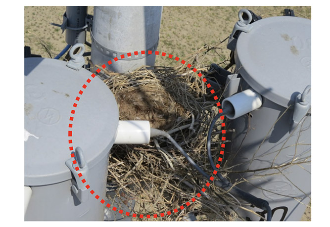 電力安定供給　春の陣　～烏の巣を取り除く～