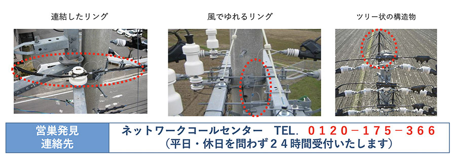 電力安定供給　春の陣　～烏の巣を取り除く～