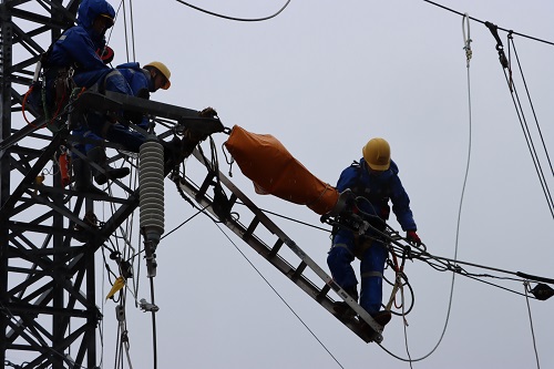 大規模化・激甚化する自然災害に高い組織力で迅速に対応