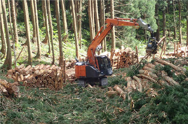 現在の状況は イメージ1