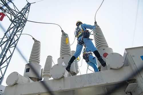 各部門の競技内容にフォーカス！ イメージ8