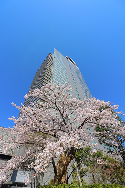 その他、当日の様子 イメージ13