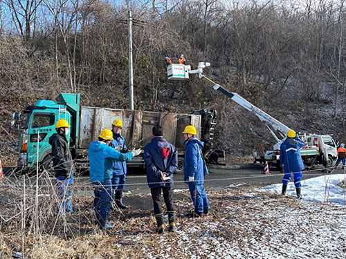 自治体道路管理者との伐採現場立ち会い イメージ2
