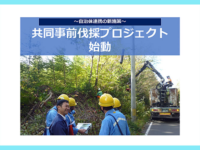 八戸電力センターが目指す『三方よし』共同事前伐採の取り組み