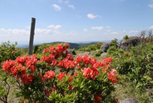住田町【種山ケ原】