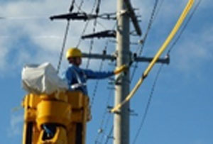 配電設備の保守・管理風景