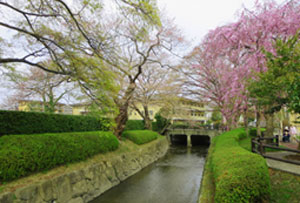 七郷堀親水公園