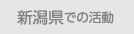 新潟県での活動